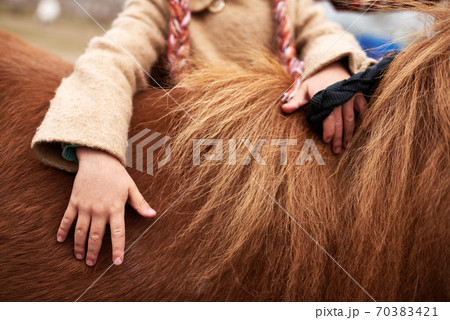 Horizontal shot of unrecognizable little girl touching her chestnut pony Horizontal shot of unrecognizable little girl touching her chestnut pony 70383421