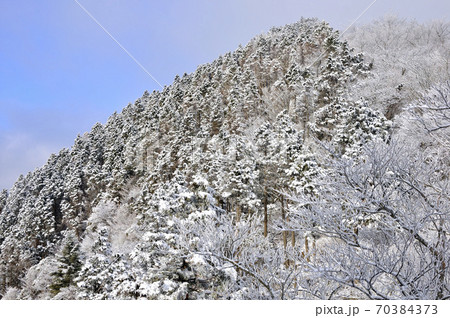 丹沢 表尾根の雪景色 丹沢 表尾根の雪景色 70384373