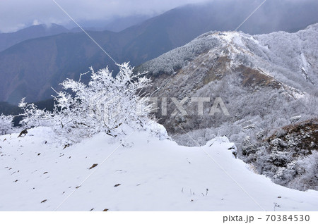 丹沢山地 雪の烏尾山を望む 丹沢山地 雪の烏尾山を望む 70384530