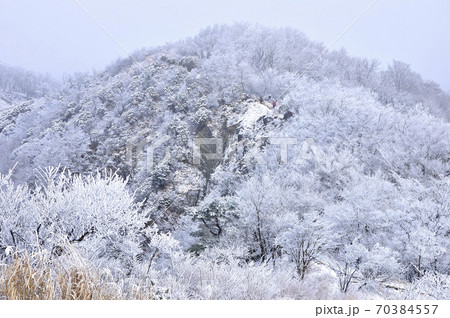 丹沢山地 雪の表尾根縦走路 丹沢山地 雪の表尾根縦走路 70384557