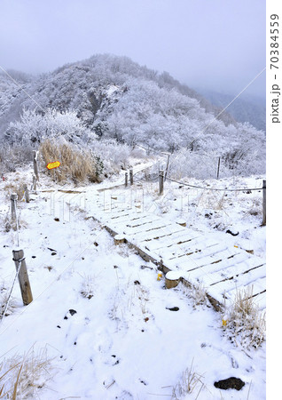 丹沢山地 雪の表尾根縦走路 70384559