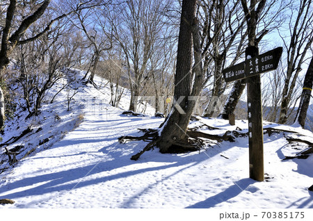 雪化粧した山稜 丹沢山地の鍋割山 雪化粧した山稜 丹沢山地の鍋割山 70385175