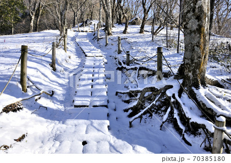 雪化粧した山道 丹沢山地の鍋割山 雪化粧した山道 丹沢山地の鍋割山 70385180