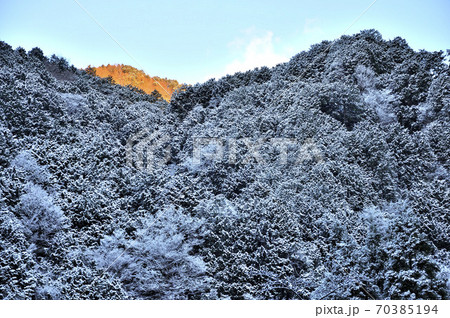 冬の丹沢山地 朝焼けの檜岳山稜 70385194