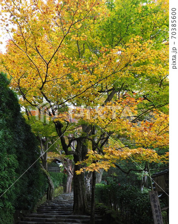 京都大原寂光院の紅葉 70385600