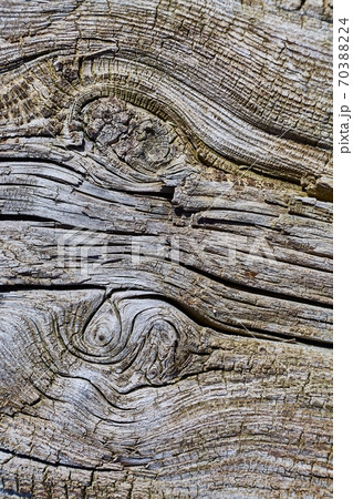 Old Wood Texture 70388224