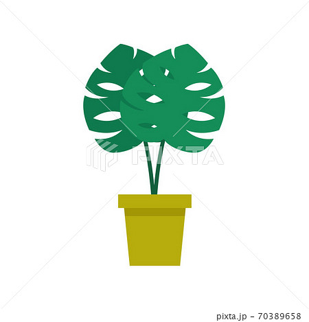 monstera plant flat icon, vector color monstera plant flat icon, vector color 70389658