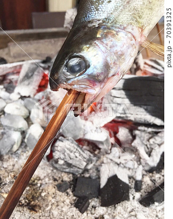 川魚を炭火で焼く 70391325
