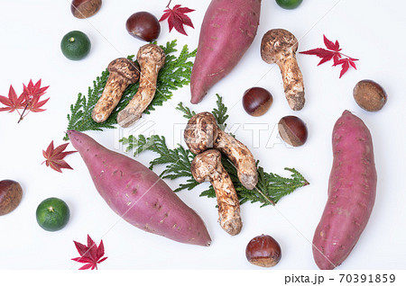 秋の季節の野菜イメージ 70391859