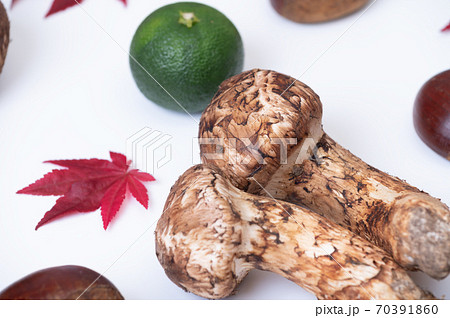 秋の季節の野菜イメージ 70391860