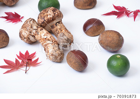 秋の季節の野菜イメージ 秋の季節の野菜イメージ 70391873
