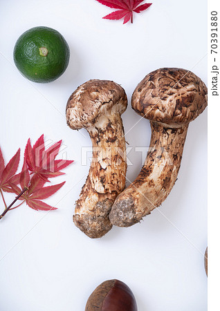秋の季節の野菜イメージ 秋の季節の野菜イメージ 70391880