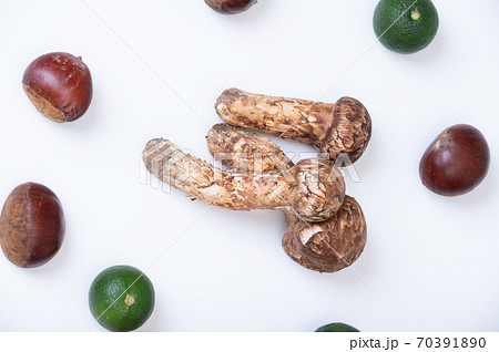 秋の季節の野菜イメージ 70391890