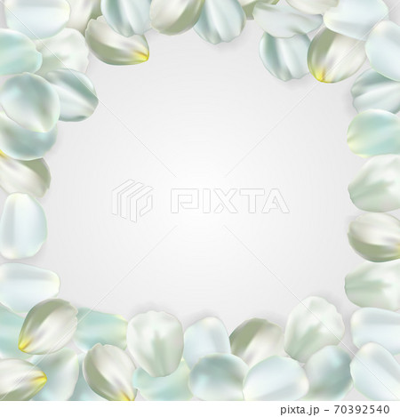 White petals isolated on pale background. For greeting card, wallpaper, flyers, posters or wedding invitation background party design. Vector illustration. White petals isolated on pale background. For greeting card, wallpaper, flyers, posters or wedding invitation background party design. Vector illustration. 70392540