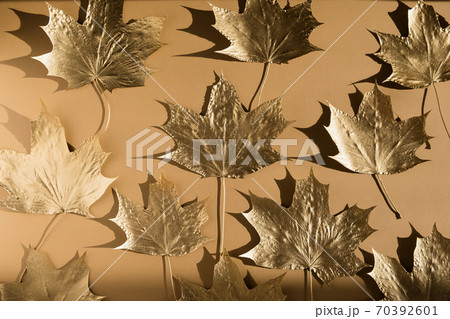 Autumn composition. Pattern made of autumn golden marple leaves on nude color background. Flat lay, top view, copy space Autumn composition. Pattern made of autumn golden marple leaves on nude color background. Flat lay, top view, copy space 70392601