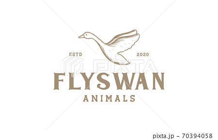 swan fly engraved vintage logo vector illustration design swan fly engraved vintage logo vector illustration design 70394058