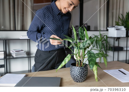 Smiling indian female employee water green plan in office 70396310