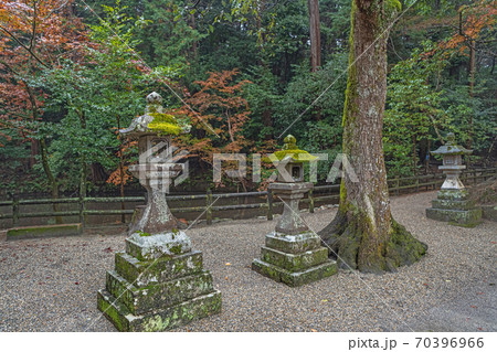 石上神宮 晩秋の境内風景 石上神宮 晩秋の境内風景 70396966