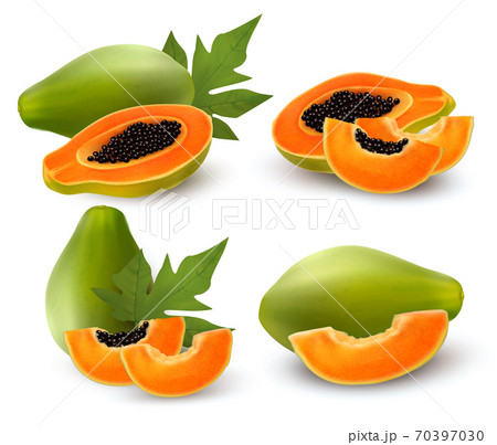 Whole and half of ripe papaya fruit with leaf. Vector illustration. 70397030
