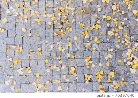 Grey stone pavement texture. Paving stones with yellow autumn leaves 70397040