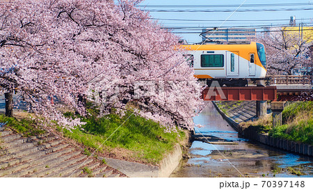 高田千本桜と電車 70397148