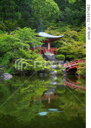 醍醐寺の青もみじ 70397462
