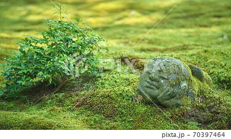 京都三千院のわらべ地蔵 70397464