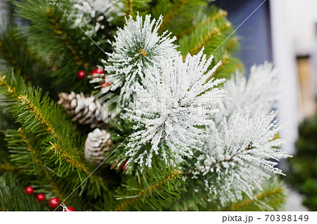 artificial green fir tree under snow with garland artificial green fir tree under snow with garland 70398149