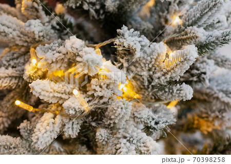 artificial green fir tree under snow with garland  70398258