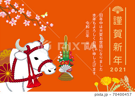 2021　丑年賀状　衣装をつけた白牛　アップ　門松と桜の枝　添書き付き 70400457