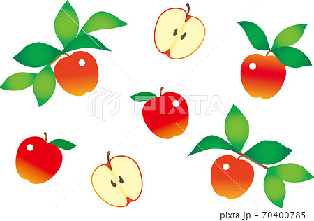 りんごのイラスト素材