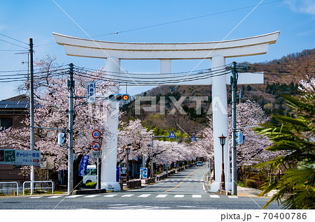 埼玉県長瀞町　宝登山神社の一の鳥居（参道の満開の桜） 70400786