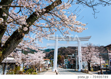 埼玉県長瀞町　宝登山神社の一の鳥居（参道の満開の桜） 70400789
