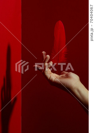 Crop hand gentle hand levitating feather against red background Crop hand gentle hand levitating feather against red background 70404067