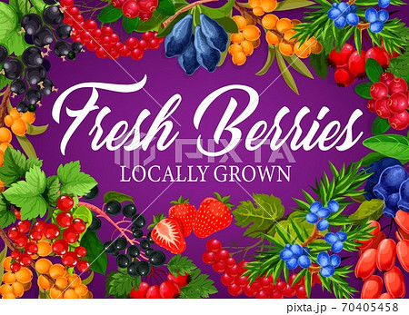 Berry fruits raspberry, blackberry and strawberry Berry fruits raspberry, blackberry and strawberry 70405458