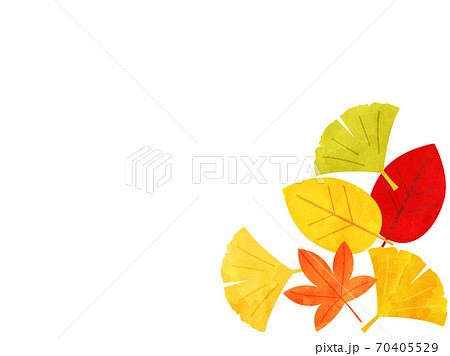 落ち葉46 秋 葉っぱ 紅葉のイラスト素材