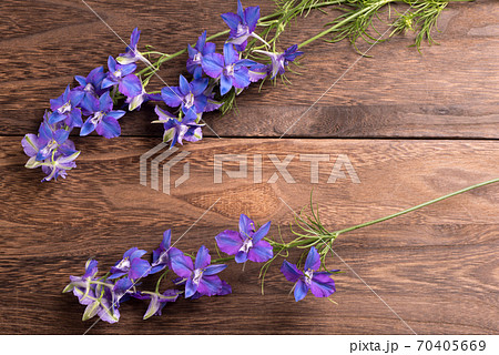 焦げ茶色のテーブルの上のデルフィニウムの花 焦げ茶色のテーブルの上のデルフィニウムの花 70405669