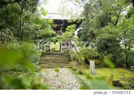 松尾寺 山門 (和泉市松尾寺町) 松尾寺 山門 (和泉市松尾寺町) 70406753