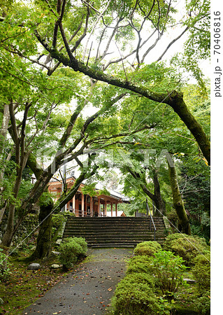 松尾寺 本堂へと続く参道 (和泉市松尾寺町) 松尾寺 本堂へと続く参道 (和泉市松尾寺町) 70406816