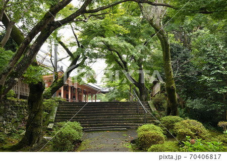 松尾寺　本堂へと続く参道　(和泉市松尾寺町) 70406817