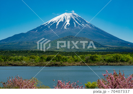 富士山と桜 70407337