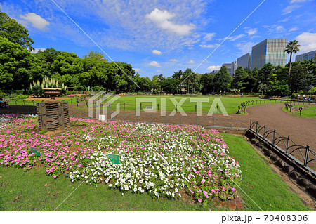 東京日比谷公園花田第一 照片素材 圖片 圖庫