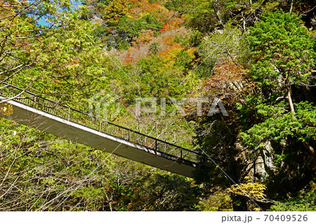 みたらい渓谷　紅葉　奈良県 70409526