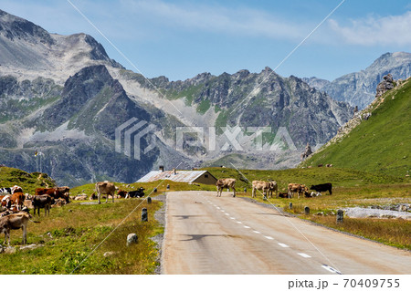 View of the albula pass in grisons, switzerland, europe 70409755