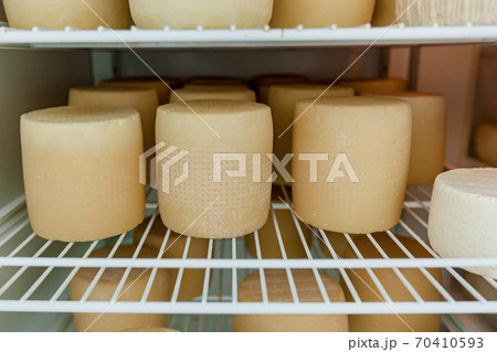 cheese heads in a cheese dairy cheese heads in a cheese dairy 70410593