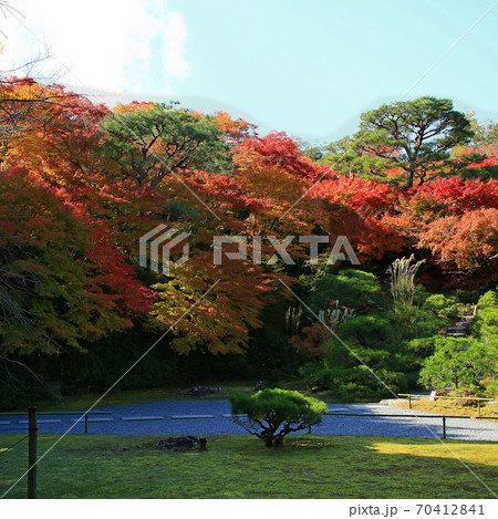 大河内山荘 紅葉 京都 大河内山荘 紅葉 京都 70412841