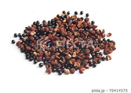 山椒 (さんしょう) スパイス 70414575