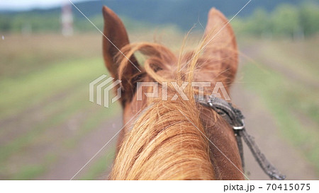 Jockey on a horse running around a dirt track during rain. Red horse running on nature. Sprinting horse. slow motion Jockey on a horse running around a dirt track during rain. Red horse running on nature. Sprinting horse. slow motion 70415075