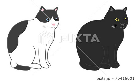 お座りする黒白猫と黒猫のイラスト素材
