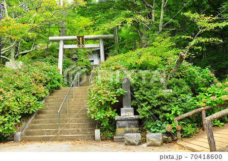 河口湖天上山公園 カチカチ山 あじさいハイキングコース入口と護国神社鳥居の写真素材